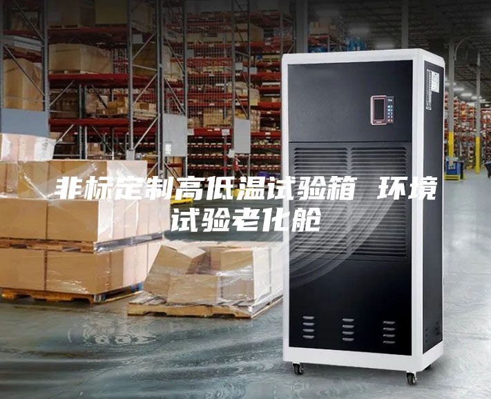 非标定制高低温试验箱 环境试验老化舱