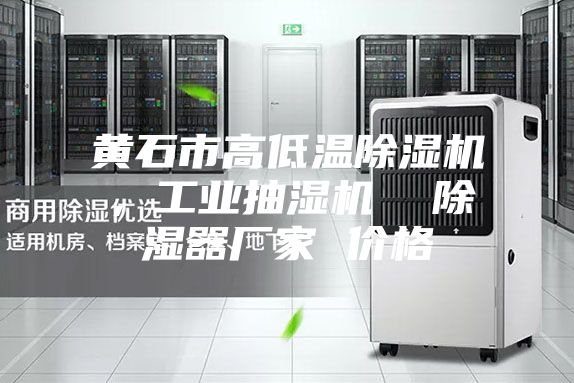 黄石市高低温除湿机，工业抽湿机  除湿器厂家 价格
