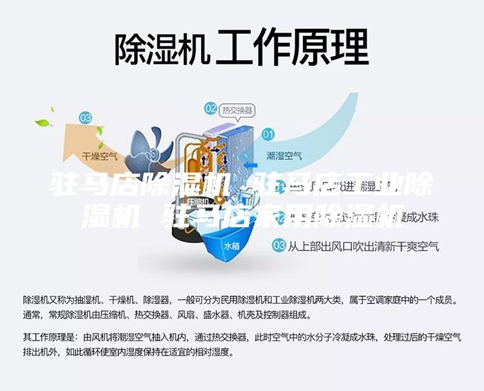 驻马店除湿机 驻马店工业除湿机 驻马店家用除湿机