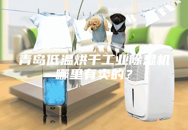 青岛低温烘干工业除湿机哪里有卖的？
