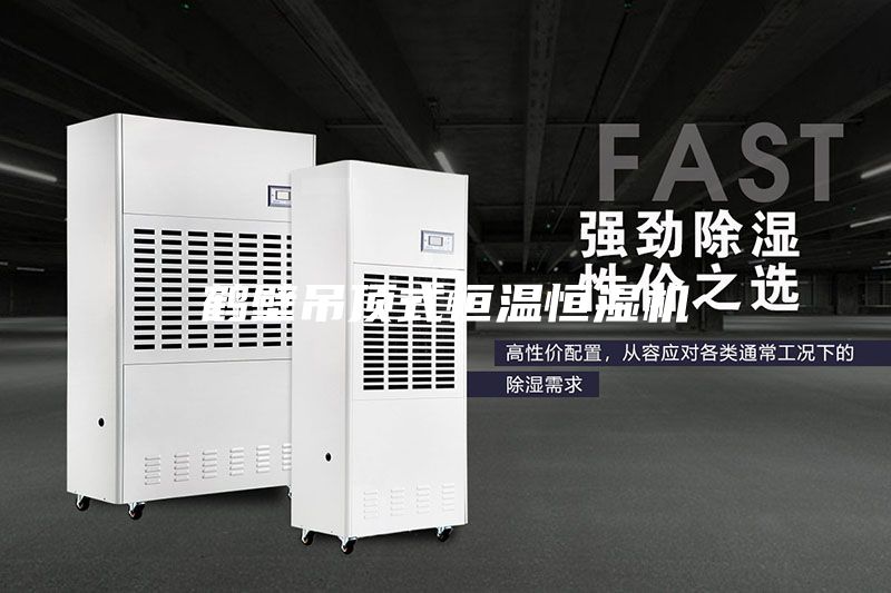 鹤壁吊顶式恒温恒湿机
