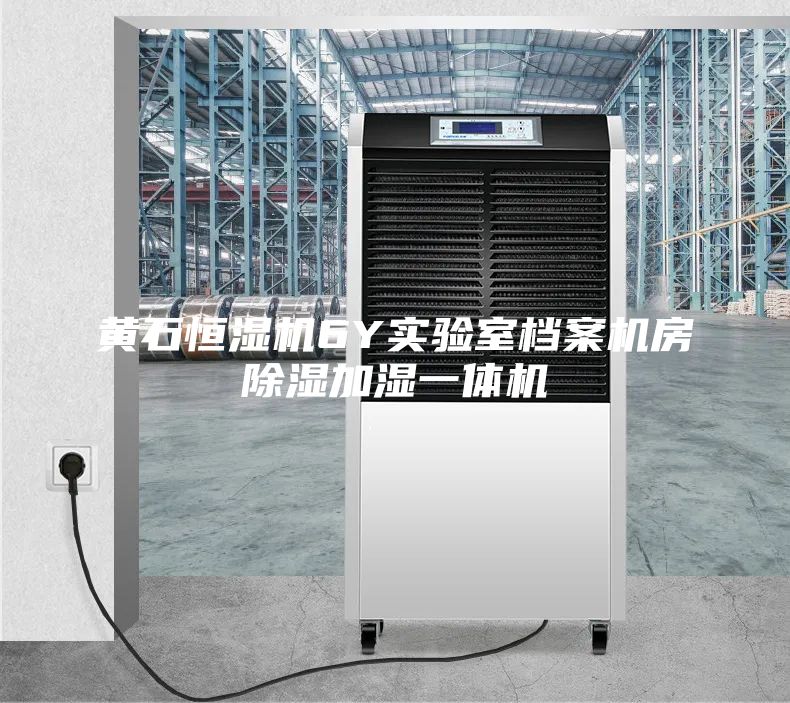 黄石恒湿机6Y实验室档案机房除湿加湿一体机