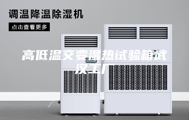 高低温交变湿热试验箱武汉工厂