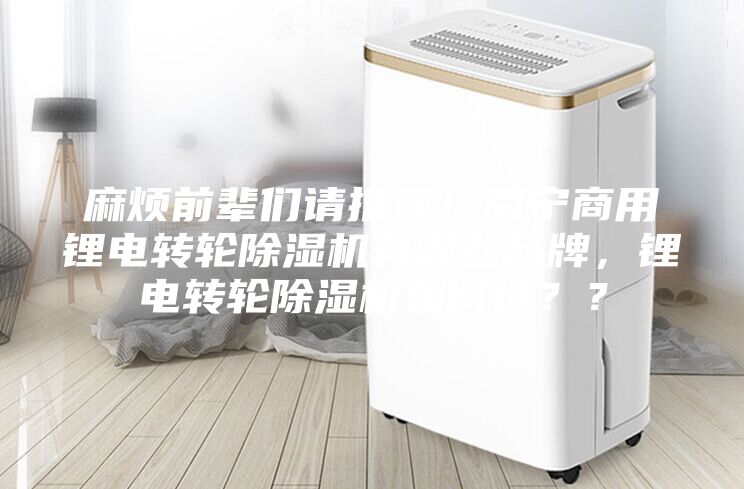 麻烦前辈们请推荐！南宁商用锂电转轮除湿机有哪些品牌，锂电转轮除湿机如何选？？