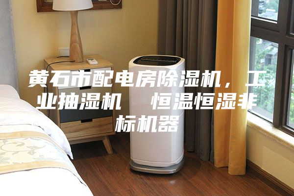 黄石市配电房除湿机，工业抽湿机  恒温恒湿非标机器